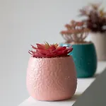 Σπίτι διακοπών La Capeyronnaise - Maison Cosy - Jardin