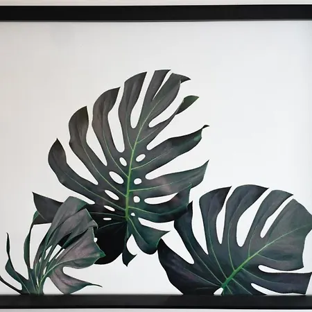 La Capeyronnaise - Maison Cosy - Jardin *