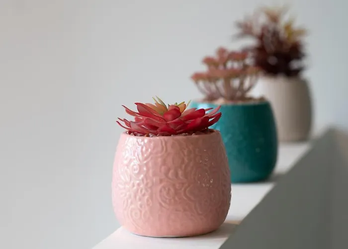 Casa de Férias La Capeyronnaise - Maison Cosy - Jardin