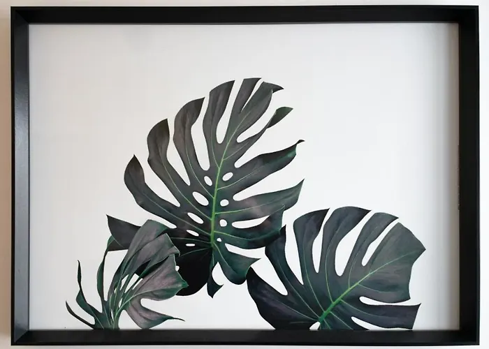 La Capeyronnaise - Maison Cosy - Jardin *